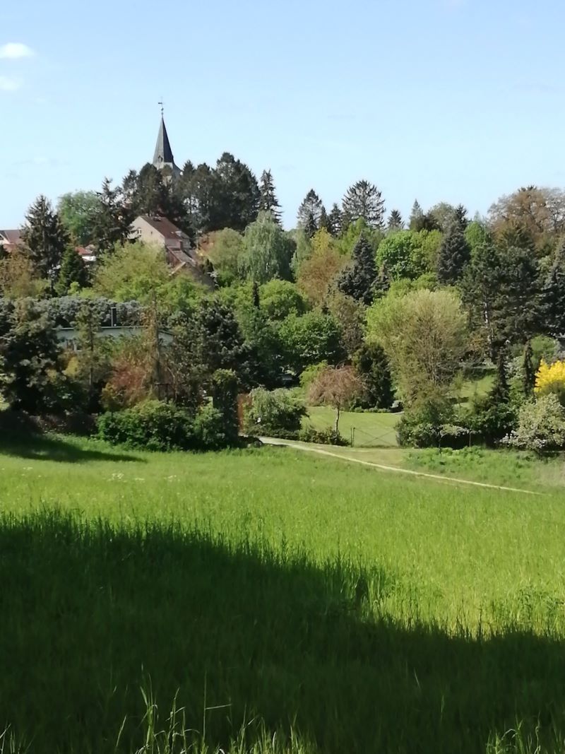 In Biesenthal mitten im Grünen leben und trotzdem gut versorgt sein.